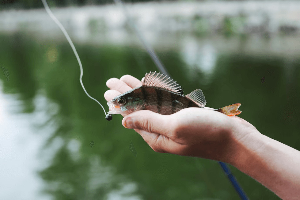 pescador segurando uma isca artificial na mão