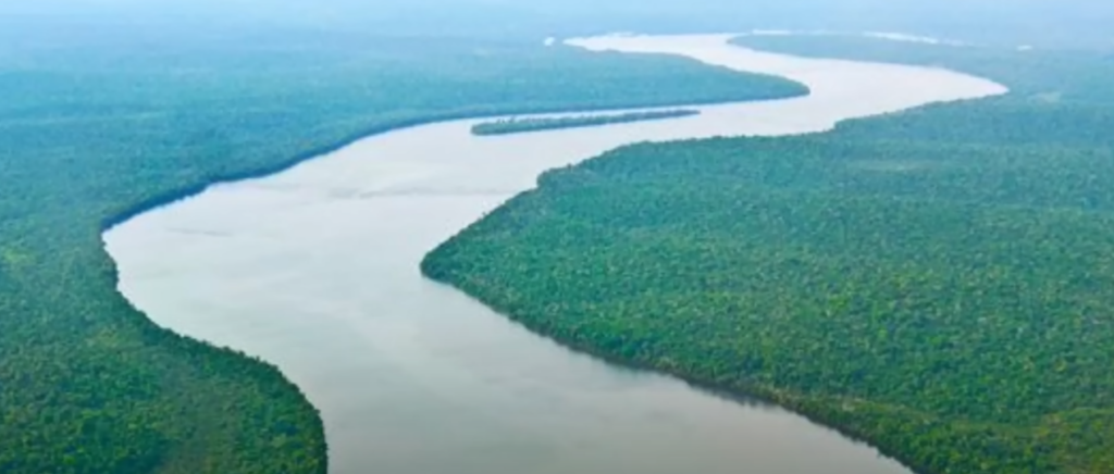 melhores lugares para pescar no Amazonas - foto do rio Amazonas