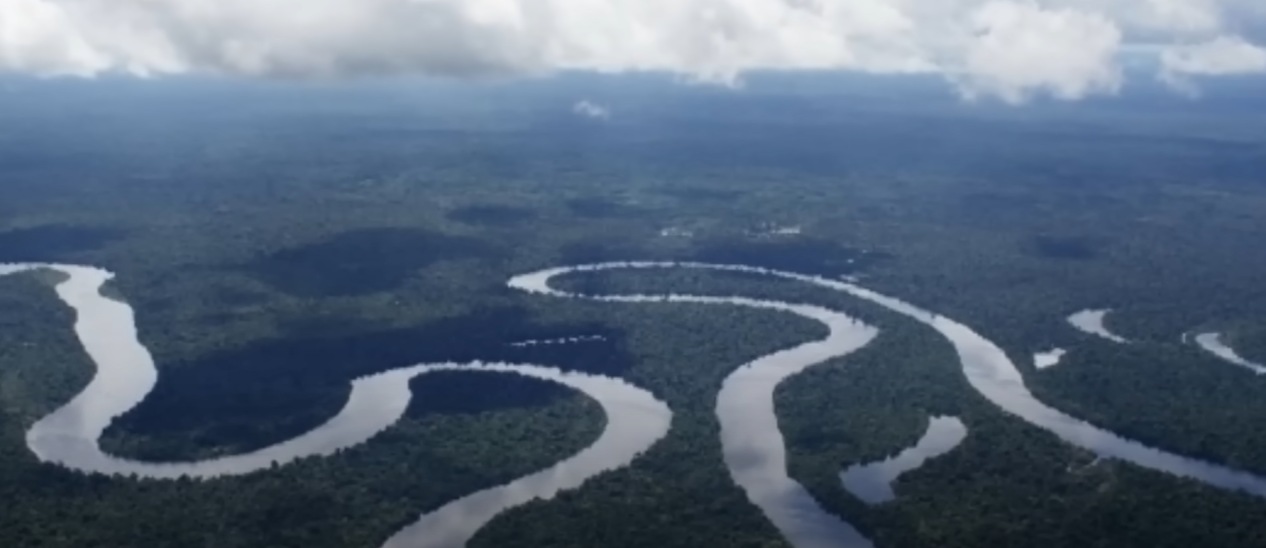 melhores lugares para pescar no Amazonas - foto do rio Amazonas