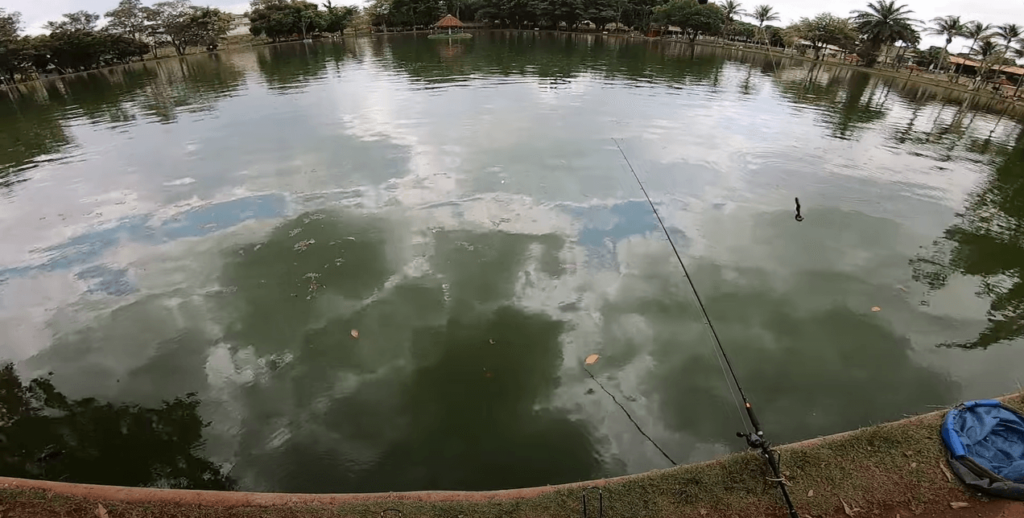 pesqueiro sant antonio - foto do lago para pesca