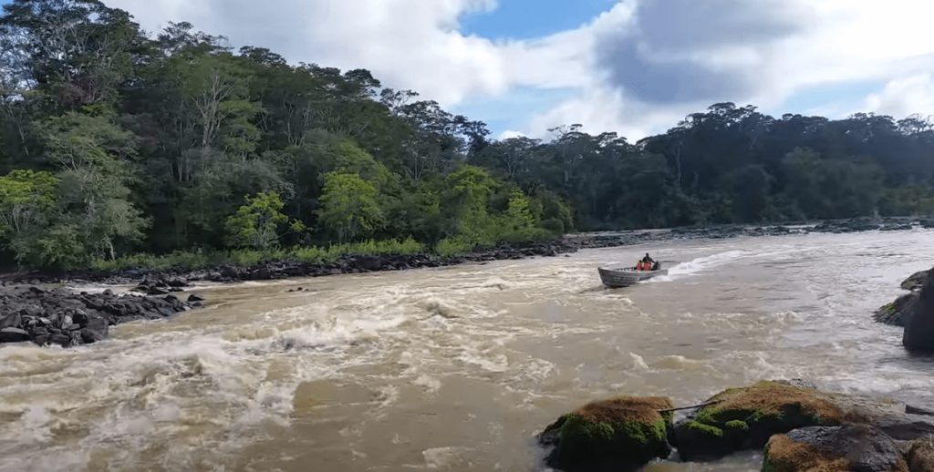 melhores lugares para pescar em roraima - foto do rio uraricoera