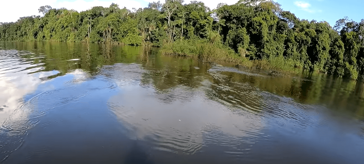 melhores lugares para pescar no amapa - foto do rio trombetas